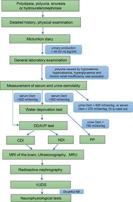 Upper urinary dilatation and treatment of 26 patients with diabetes insipidus: A single-center retrospective study